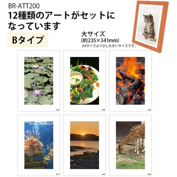 飾るアート 非常用トイレ(大) 10回分+アートポスター12種セット ブレイン