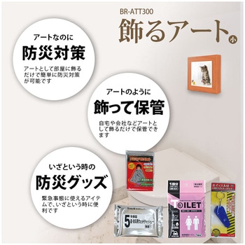 飾るアート 防災セット(アートポスター1枚付) ブレイン