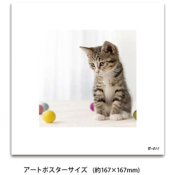 飾るアート 防災セット(アートポスター1枚付) ブレイン
