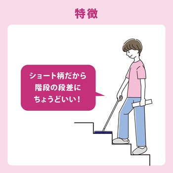 激落ちくん くり返し使えるホコリ取り LEC(レック)