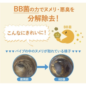 BIGBIO パイプピッカ!ピッカ! 粒タイプ なっとうキング 50錠 (約10回分) BB菌 排水管パイプのヌメリ・悪臭を分解 ビッグバイオ