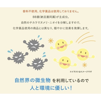 BIGBIO パイプピッカ!ピッカ! 粒タイプ なっとうキング 50錠 (約10回分) BB菌 排水管パイプのヌメリ・悪臭を分解 ビッグバイオ