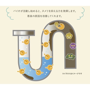 BIGBIO パイプピッカ!ピッカ! 粒タイプ なっとうキング 50錠 (約10回分) BB菌 排水管パイプのヌメリ・悪臭を分解 ビッグバイオ