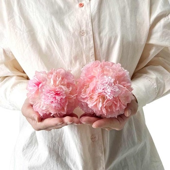 春の装飾品(さくら演出) 桜ボール(造花) ストア・エキスプレス