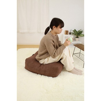 かけ布団がクッションになるふとん収納袋(防ダニ) サンベルム