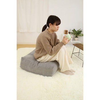 かけ布団がクッションになるふとん収納袋(防ダニ) サンベルム