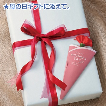 母の日カーネーション(メッセージカード付) アルファ[販促]