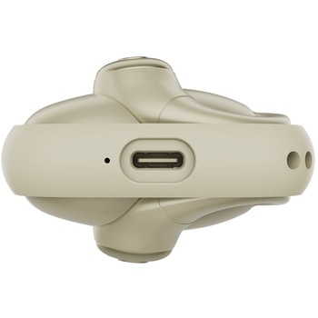 オープンイヤー型ワイヤレスイヤホン - NAGAOKA