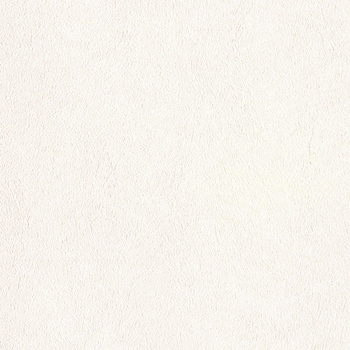 一般壁紙 LIGHT 不燃認定 スーパー強化+汚れ防止 LL-7908 リリカラ