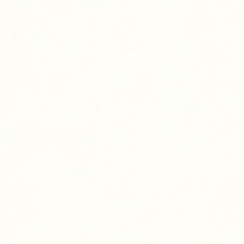 一般壁紙 LIGHT 不燃認定 抗ウィルス ウィルスアーマー LL-7953 リリカラ