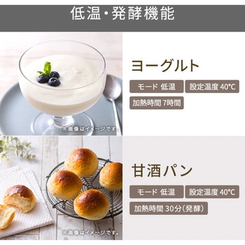 低温コンベクションオーブン ストレートグレー 【低温～高温調理までこれ一台】【ドライフルーツ・ヨーグルト発酵も】【TSF61A】 テスコム
