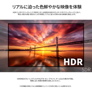 49型/1920x1080/HDMI×3、VGA/ブラック/スピーカー有/5年保証 JAPANNEXT