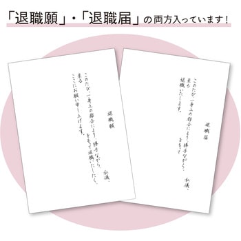簡単作成 退職届 退職願セット ササガワ