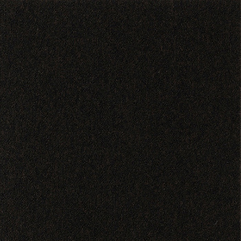 カーペットタイルNT-350 サンゲツ