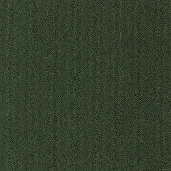 カーペットタイルNT-350 サンゲツ