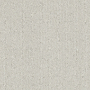 カーペットタイルNT-350 サンゲツ