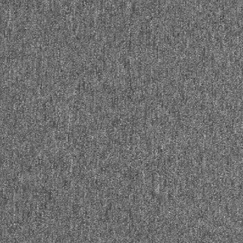 カーペットタイルNT-350 サンゲツ
