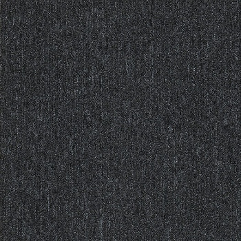 カーペットタイルNT-350 サンゲツ