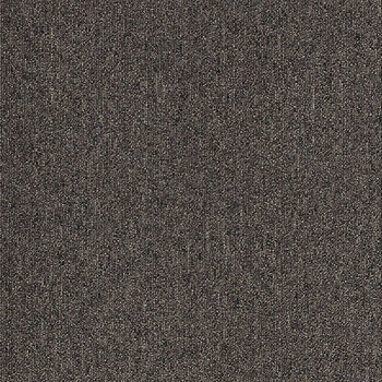 カーペットタイルNT-350 サンゲツ
