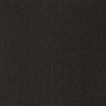 カーペットタイルNT-350 サンゲツ