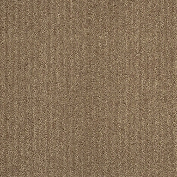 カーペットタイルNT-350 サンゲツ