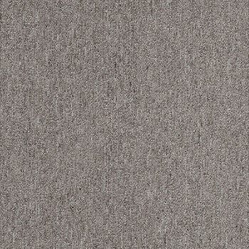 カーペットタイルNT-350 サンゲツ