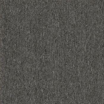 カーペットタイルNT-350 サンゲツ