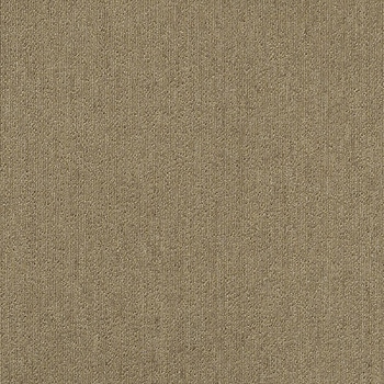 カーペットタイルNT-350S サンゲツ