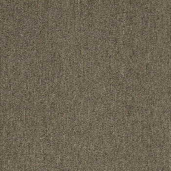 カーペットタイルNT-350S サンゲツ