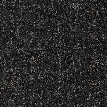 NT-71303 �J�[�y�b�g�^�C��NT-7130H D-eco �T���Q�c 12712150