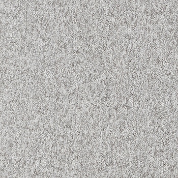 カーペットタイルNT-700 D-eco サンゲツ