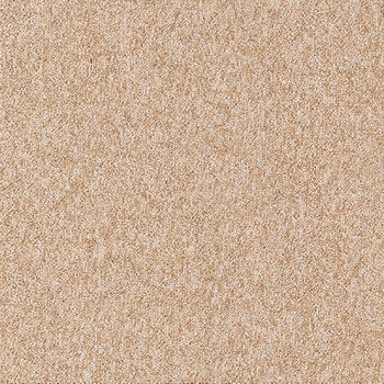 NT-71205 J[ybg^CNT-700 D-eco TQc 12712448