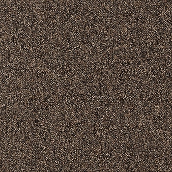 NT-71104 �J�[�y�b�g�^�C��NT-7110P D-eco �T���Q�c 12712579