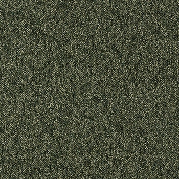 NT-71110 �J�[�y�b�g�^�C��NT-7110P D-eco �T���Q�c 12712694