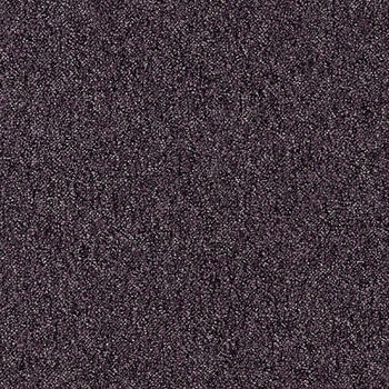 NT-71116 �J�[�y�b�g�^�C��NT-7110P D-eco �T���Q�c 12712816