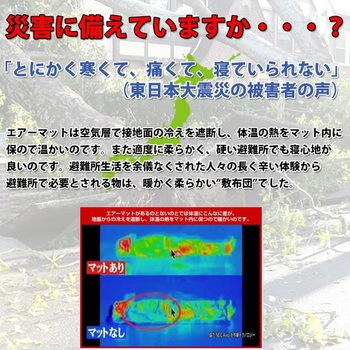 快適エアマットPLUS シナジーインターナショナル