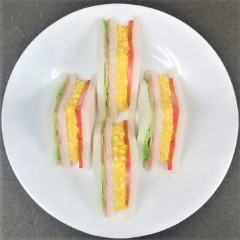 食品サンプル イムラサンプル