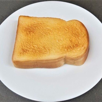 食品サンプル - イムラサンプル