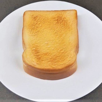 食品サンプル - イムラサンプル