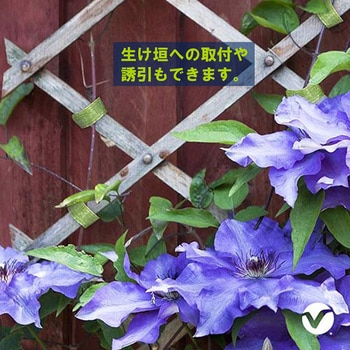 ガーデニング用結束ベルト カッター付き ベルクロ