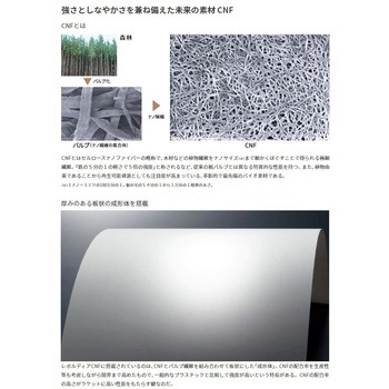 卓球ラケット レボルディア CNF BUTTERFLY