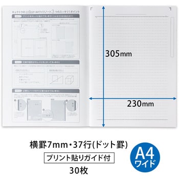 College カレッジノート A4 ワイド 日本ノート 綴じノート