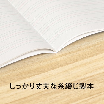スクールライン B5 英習罫ノート 日本ノート