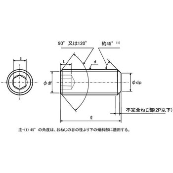 HSヒラサキ-ホソメP2.0 大阪魂