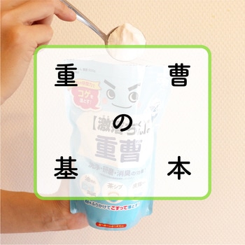 激落ちくん粉末重曹 LEC(レック)