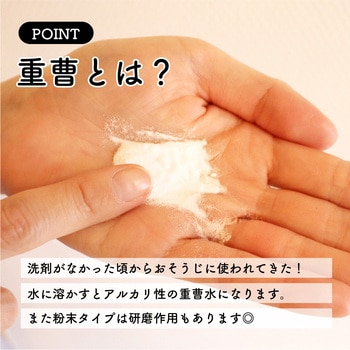 激落ちくん粉末重曹 LEC(レック)