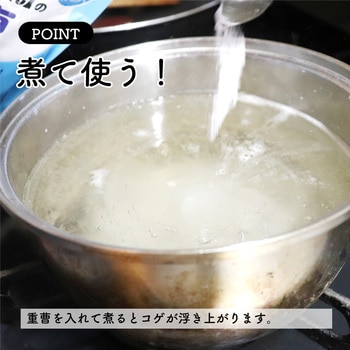 激落ちくん粉末重曹 LEC(レック)