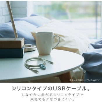 しなやかシリコンUSBケーブル 1m TypeCtoCユートリムエル SONIC(ソニック・文具)