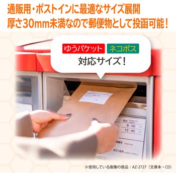 アゾン「紙Net封筒」 セキセイ