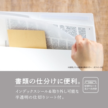 セパル マグラック セキセイ